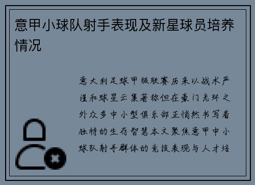 意甲小球队射手表现及新星球员培养情况